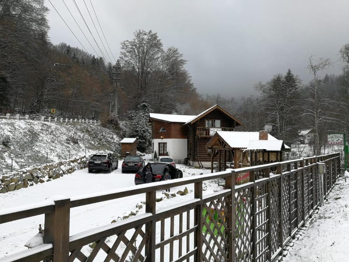 Cabana Rustic Balea Cîrţişoara Zewnętrze zdjęcie