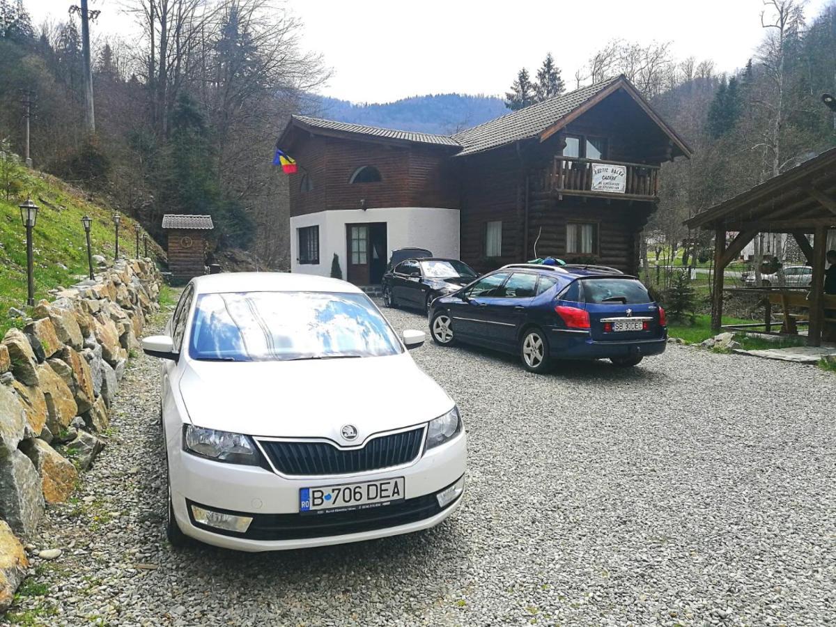 Cabana Rustic Balea Cîrţişoara Zewnętrze zdjęcie