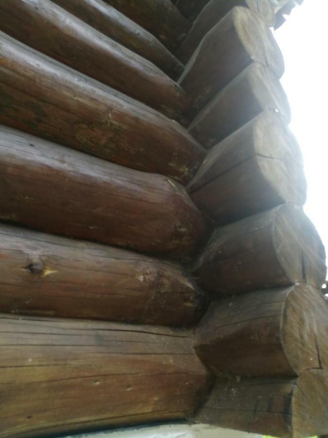 Cabana Rustic Balea Cîrţişoara Zewnętrze zdjęcie