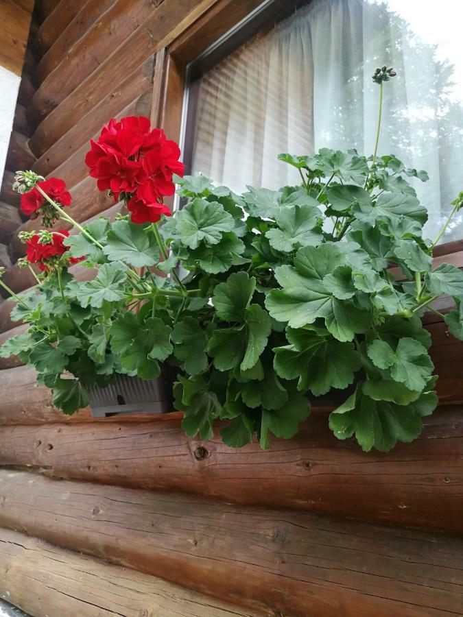 Cabana Rustic Balea Cîrţişoara Zewnętrze zdjęcie