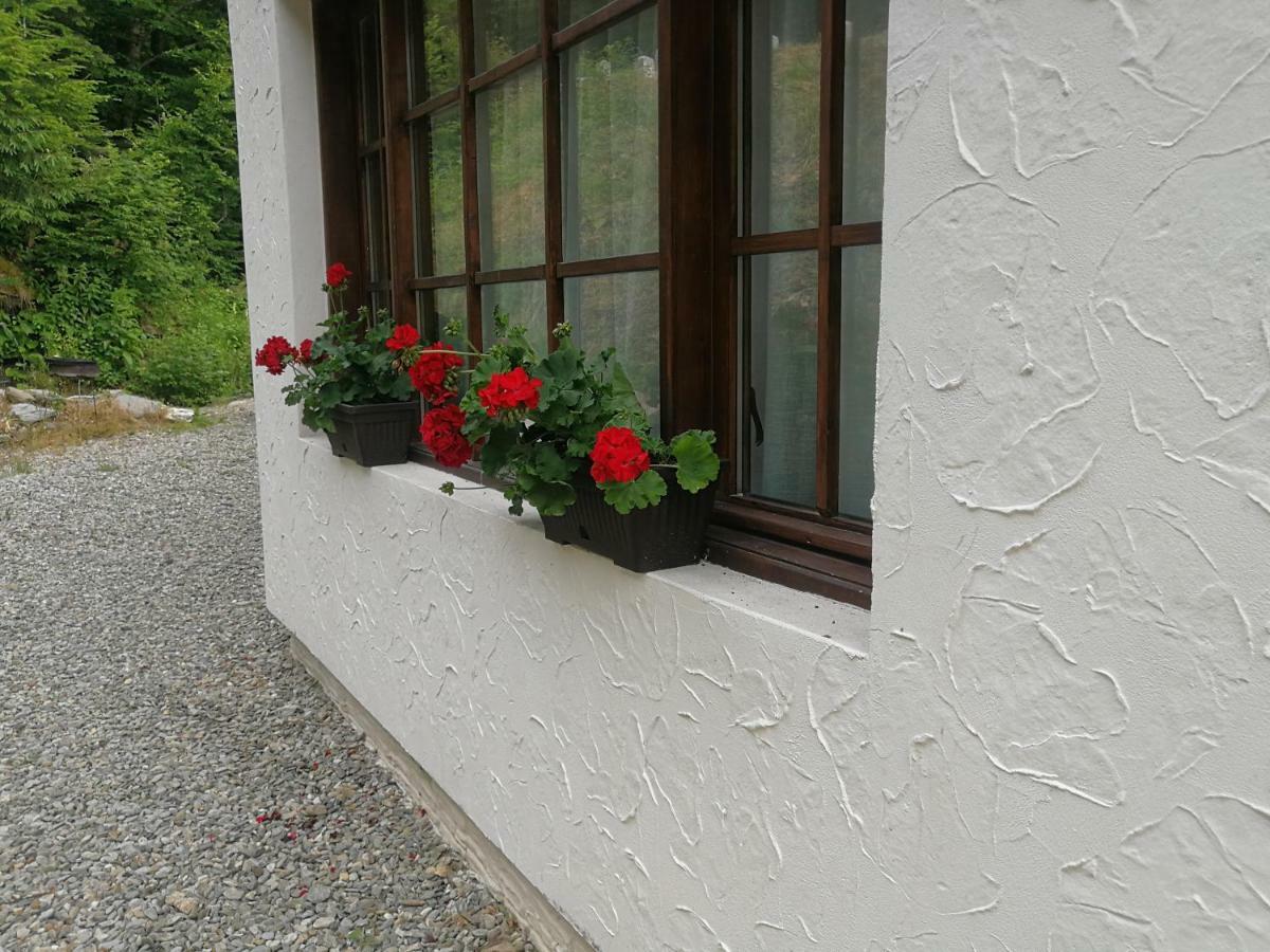 Cabana Rustic Balea Cîrţişoara Zewnętrze zdjęcie