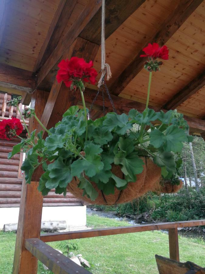 Cabana Rustic Balea Cîrţişoara Zewnętrze zdjęcie